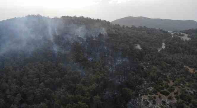 Çanakkale’deki orman yangını 16 saat sonra kontrol altına alındı