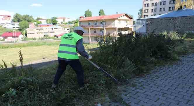 Ağa&ccedil;lar budanıp yabani otlar temizlendi

