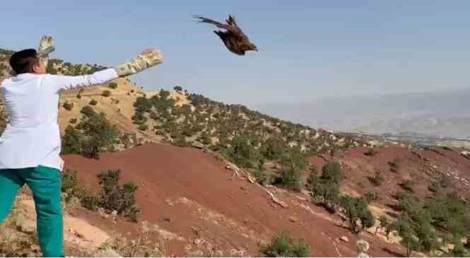 Şırnak&rsquo;ta tedavileri tamamlanan &rsquo;yılan kartalı&rsquo; ve &rsquo;kızıl şahin&rsquo; doğaya bırakıldı
