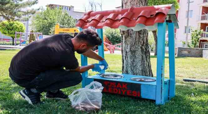 Uşak Belediyesi yaz aylarında sokak hayvanları unutmadı
