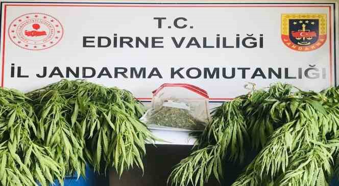 Edirne’de jandarmadan uyuşturucu operasyonu