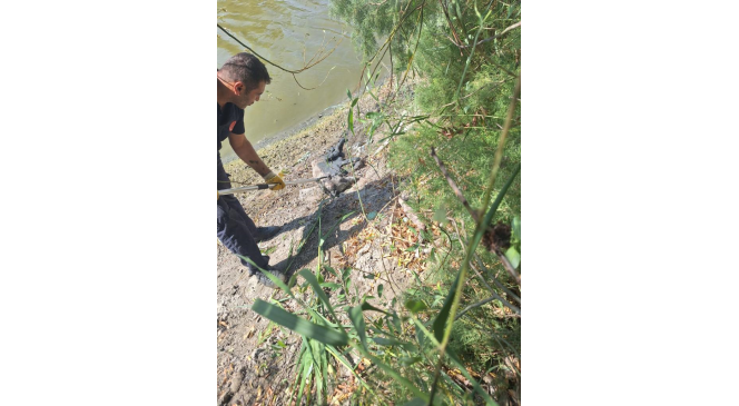 Bataklığa saplanan köpeği itfaiye kurtardı