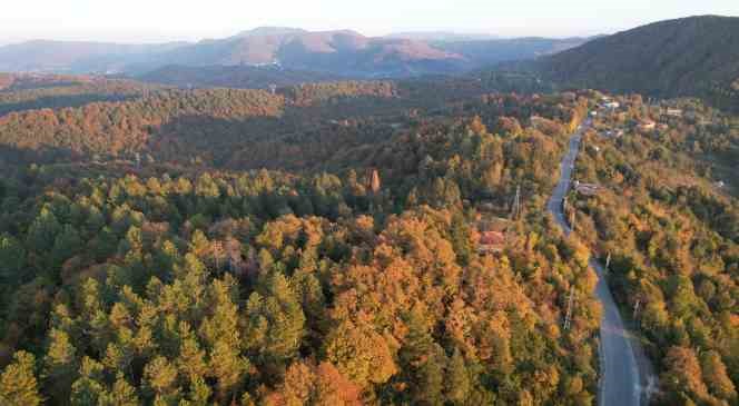 Zonguldak’ta 30 Eylül’e kadar ormanlara giriş yasaklandı