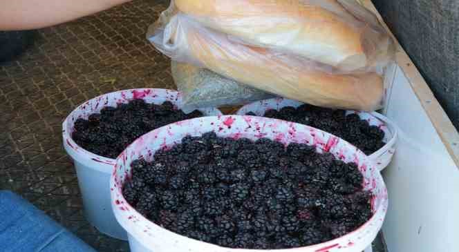 Ekmek parasını 7 k&ouml;y&uuml;n ekmeğini dağıtarak kazanıyor
