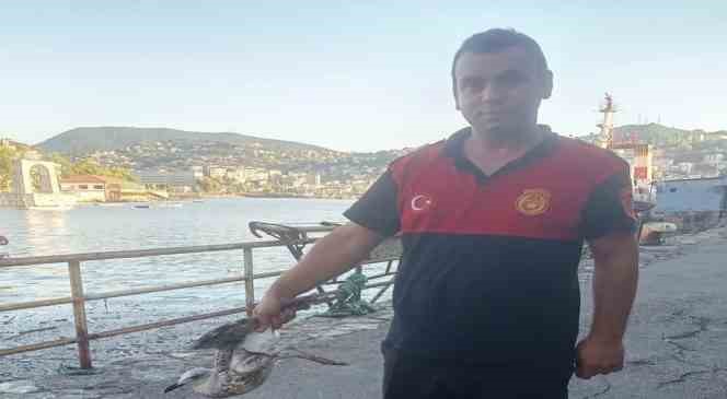 Elektrik tellerine takılan martı tekne ile kurtarıldı
