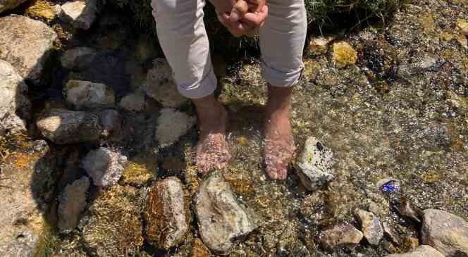 Bahar havası yaşanan yaylada y&uuml;zlerce kelebek g&ouml;rsel ş&ouml;len sundu

