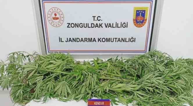 Jandarmadan uyuşturucu operasyonu; 1 tutuklu
