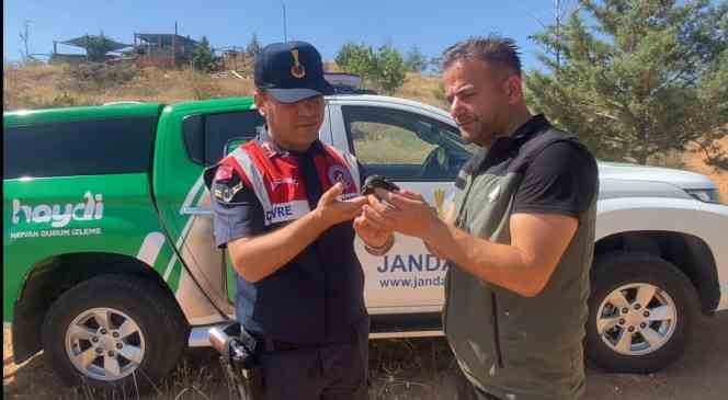 Kanadı kırık ebabil kuşuna jandarma şefkati