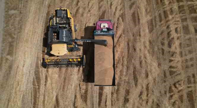 Ankara&rsquo;nın tahıl ambarında hasat zamanı
