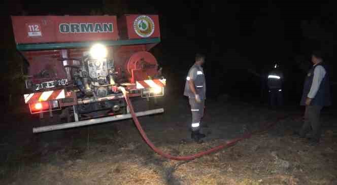 Kırıkkale&rsquo;de orman yangını
