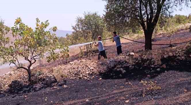 Siirt’te çiftçinin onca yıllık emeği küle döndü