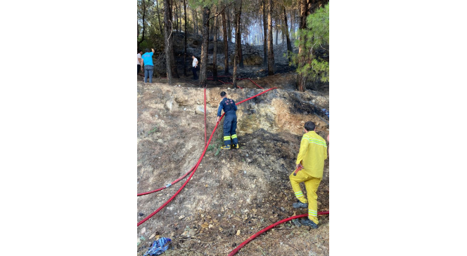 Muğla’daki orman yangını kontrol altına alındı