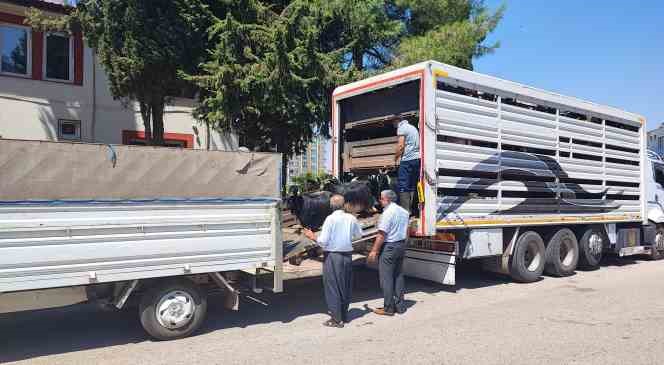 Adıyaman&rsquo;daki depremzedelere 124 ke&ccedil;i dağıtıldı

