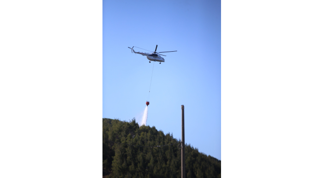 &Ccedil;anakkale&rsquo;de orman yangını kontrol altına alındı
