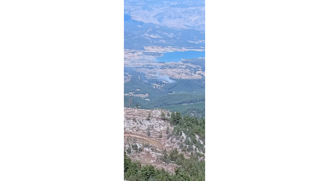Burdur&rsquo;da &ccedil;ıkan orman yangınında 3 dekarlık alan yandı
