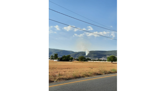 Muğla’da orman yangını