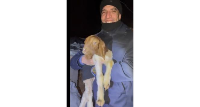 Enkaz altından 15 küçükbaş hayvan kurtarıldı