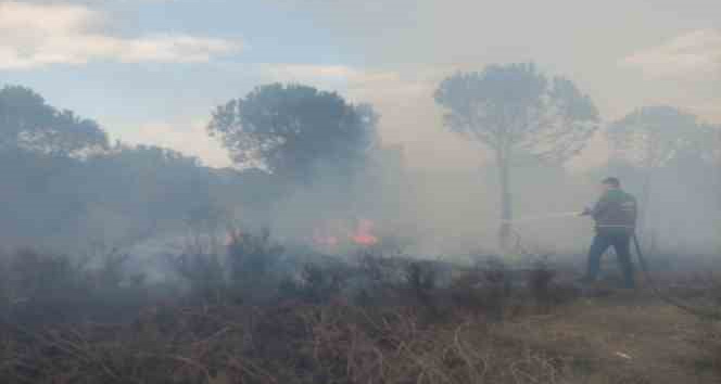 Biga’da ormanlık alandaki örtü yangınında 1 hektar alan yanarak küle döndü