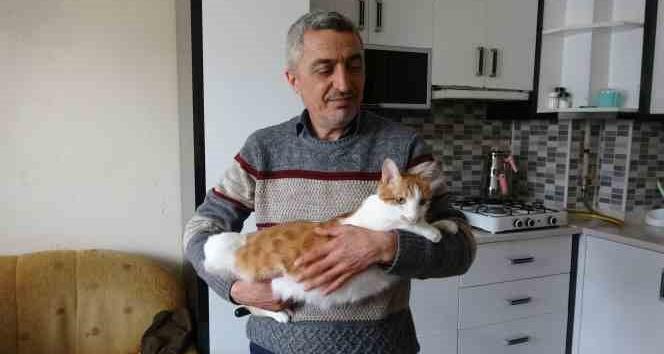 Rüyasına girdi, depremde mahsur kalan kedisini canı pahasına kurtardı