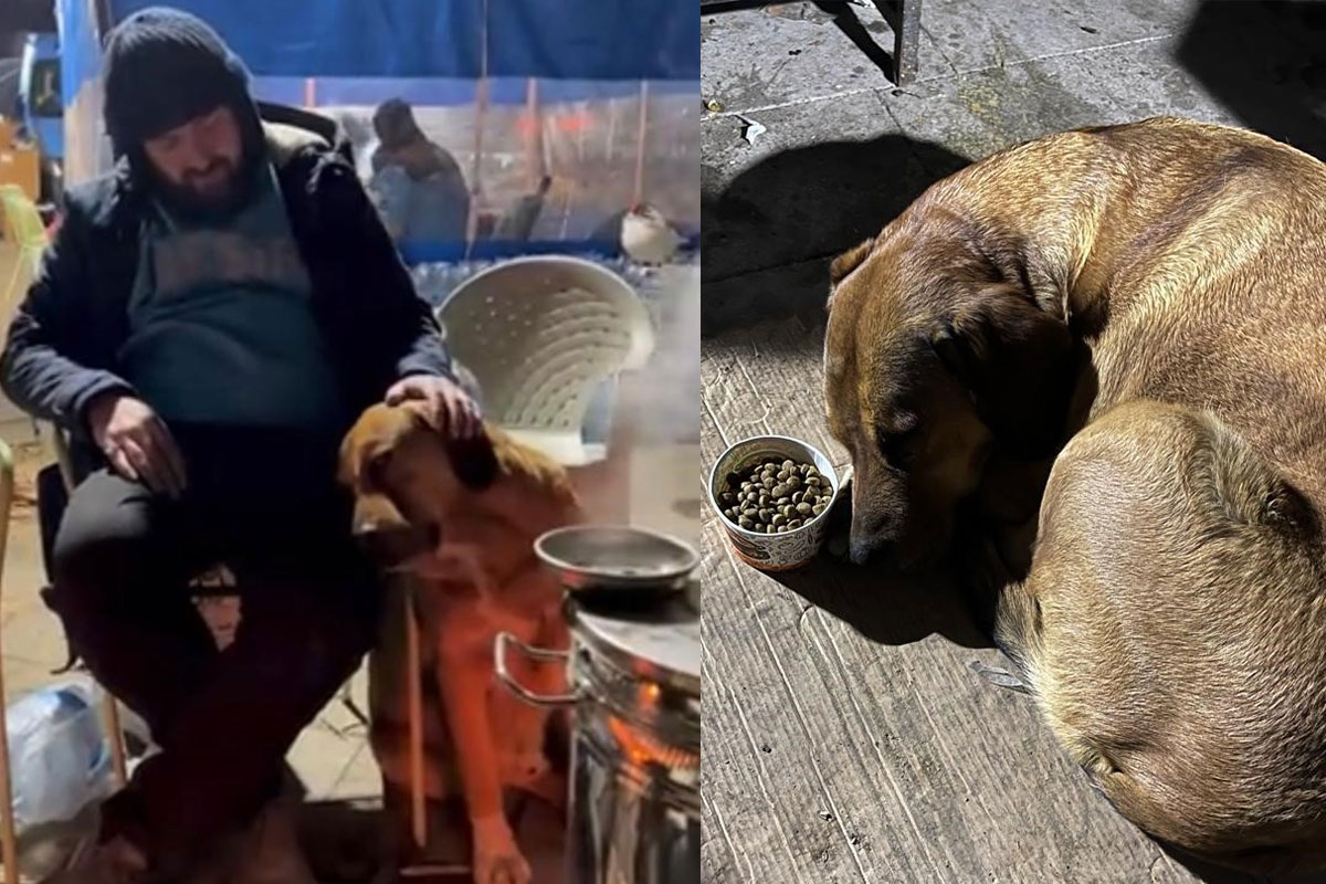 Sahibini depremde kaybeden köpeğin görüntüleri izleyenleri şaşırttı