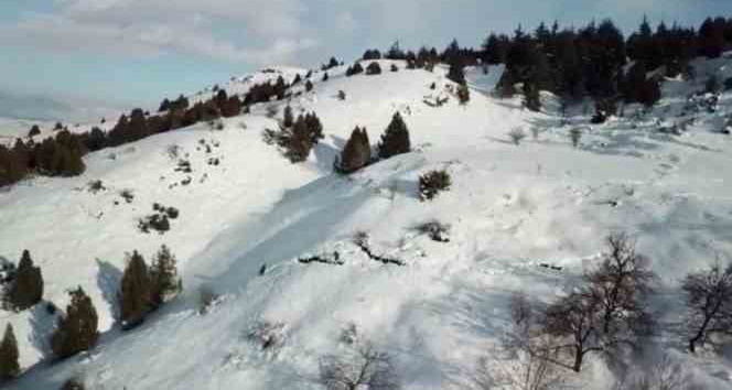 Deprem Berit Dağı’nda da yarılmalara neden oldu