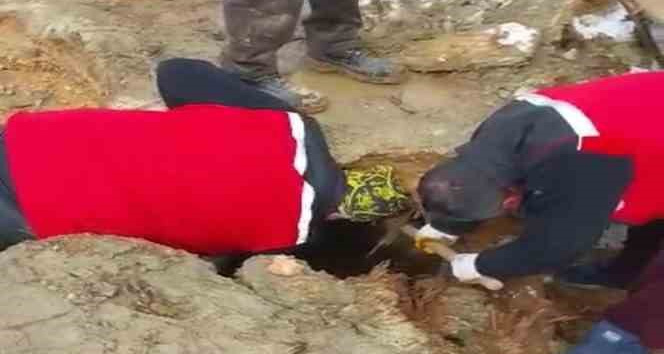 322 saat sonra enkazdan iki koyun ve bir kuzu canlı çıkarıldı