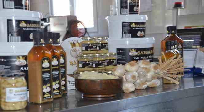 Hobi olarak başladılar: Taşköprü sarımsağından ürettikleri yıllanmış ekstratın faydaları saymakla bitmiyor