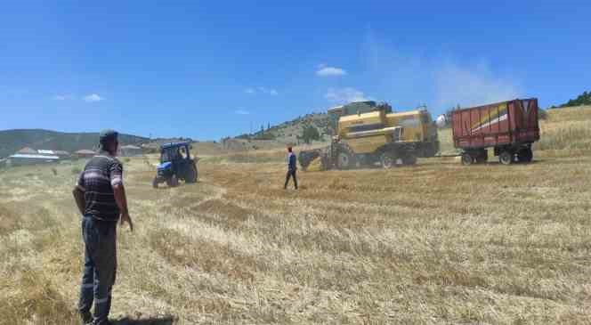 Yozgat&rsquo;ta leylekler hasat edilen tarlalarda yiyecek arıyor
