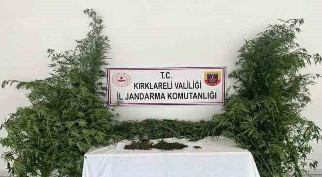 Jandarmadan ka&ccedil;ak kazı, uyuşturucu ve i&ccedil;ki operasyonları
