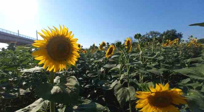 Kırbi&ccedil;: &rdquo;Yağ fiyatları aslında pahalı değil&rdquo;
