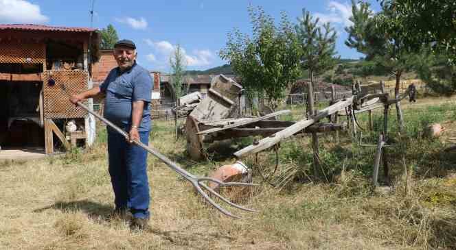 Doktor tavsiye etti, kanseri antika merakıyla yendi