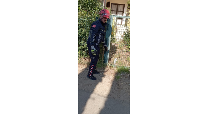 Yalova&rsquo;da demir bah&ccedil;e kapısına sıkışan kirpi kurtarıldı
