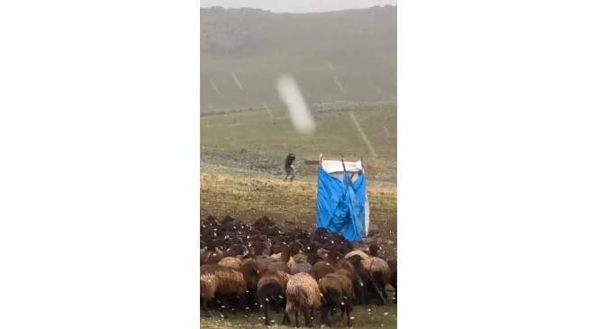 Ardahan&rsquo;da misket b&uuml;y&uuml;kl&uuml;ğ&uuml;nde dolu yağdı
