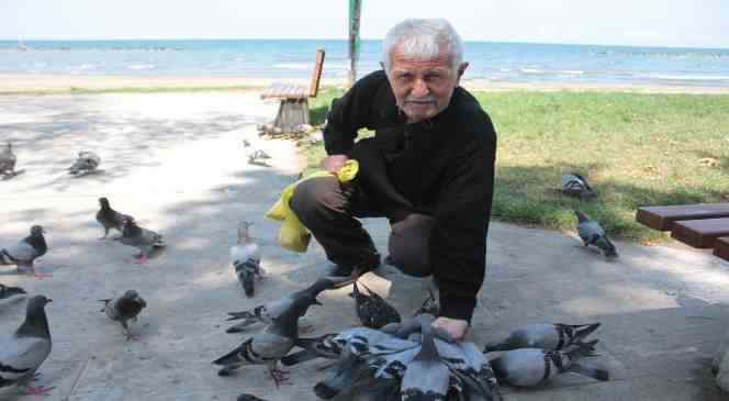 Ağzıyla g&uuml;nde 500 g&uuml;vercini besliyor
