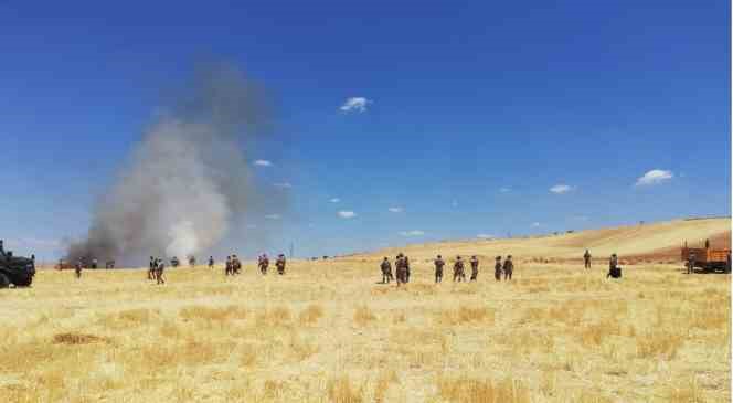 Mardin ve Şanlıurfa&rsquo;da elektrik dağıtım şirketi personeline saldırı:  G&ouml;revlilerin bulunduğu tarla yakıldı
