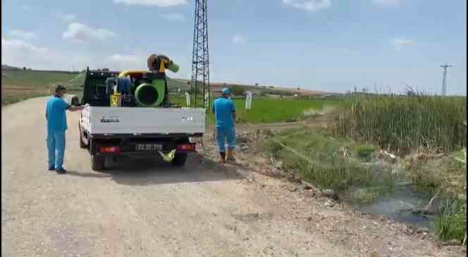 Edirne’de sivrisinek ilaçlaması için 4 milyon 200 bin liralık bütçe