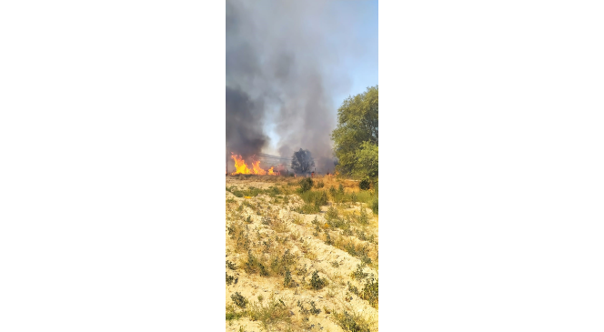 Isparta’da 10 dönümlük sazlık küle döndü