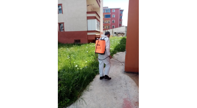 Kars Belediyesi parka ve bahçeleri ilaçlıyor