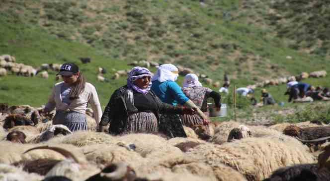 İran sınırındaki berivanlara akaryakıt desteği