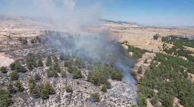 Adıyaman’daki orman yangını havadan görüntülendi