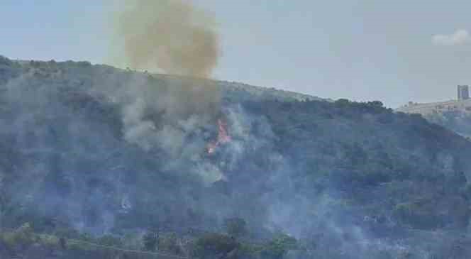 T&uuml;rkiye-Bulgaristan sınırında orman yangını
