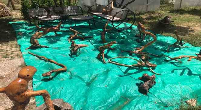 Gümüşhane’de ağaç kökleri usta ellerde sanata dönüşüyor