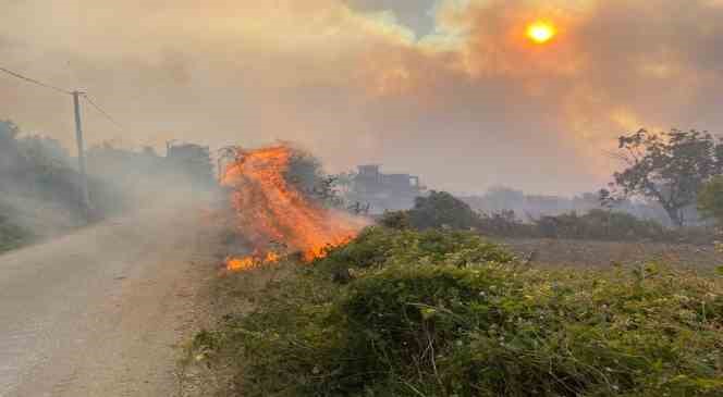&Ccedil;anakkale Valiliği orman yangınlarına karşı uyardı

