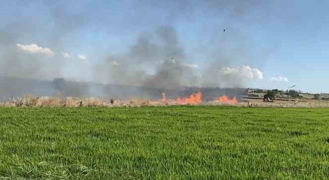 Edirne&rsquo;de anız yangını s&ouml;nd&uuml;r&uuml;ld&uuml;
