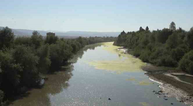 Karasu Nehri yeşile döndü
