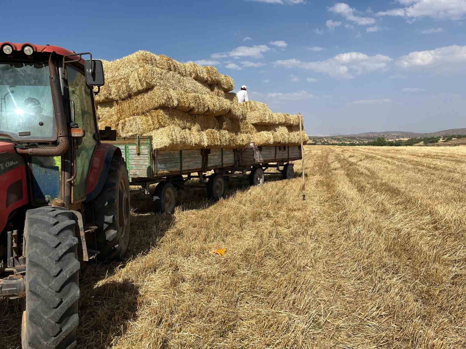 Erzincan’da çiftçilerin saman mesaisi başladı
