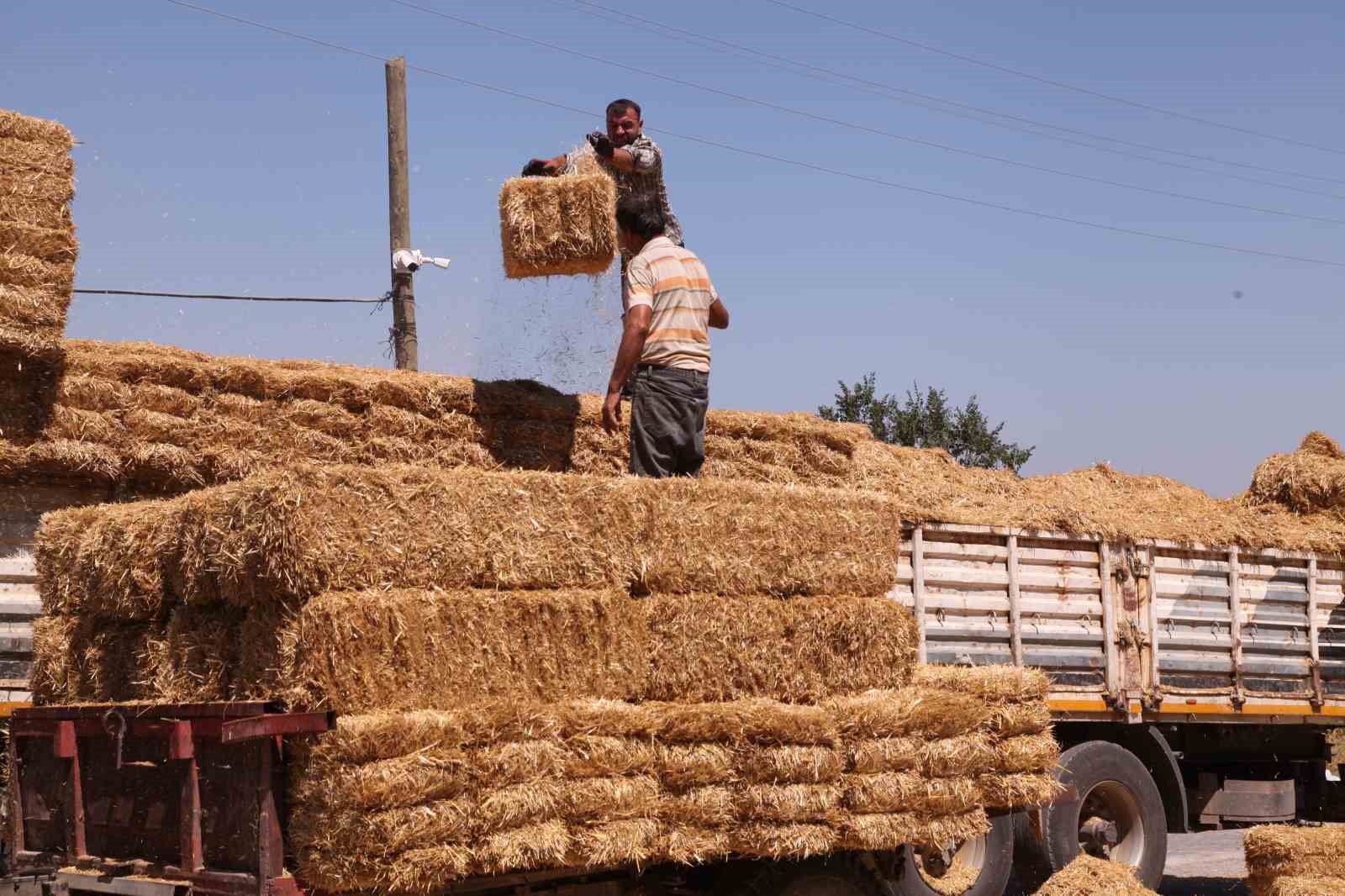 &Ccedil;anakkale&rsquo;de 142 &ccedil;ift&ccedil;inin etkilendiği orman yangınının yaraları sarılmaya başlandı
