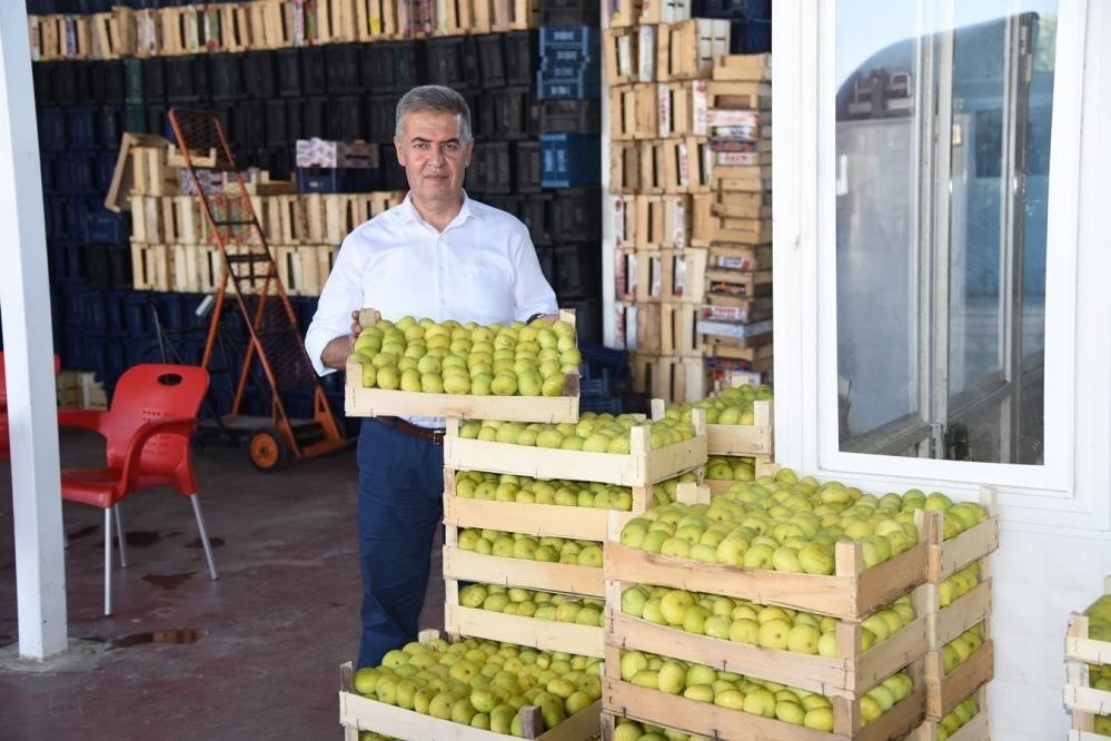 Aydın’ın milli meyvesi İncir, Avrupa’nın gözde meyvesi oldu İhlas Haber ...