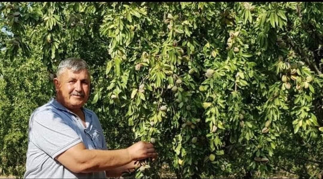 Badem &uuml;reticileri Cumhurbaşkanından m&uuml;jde bekliyor
