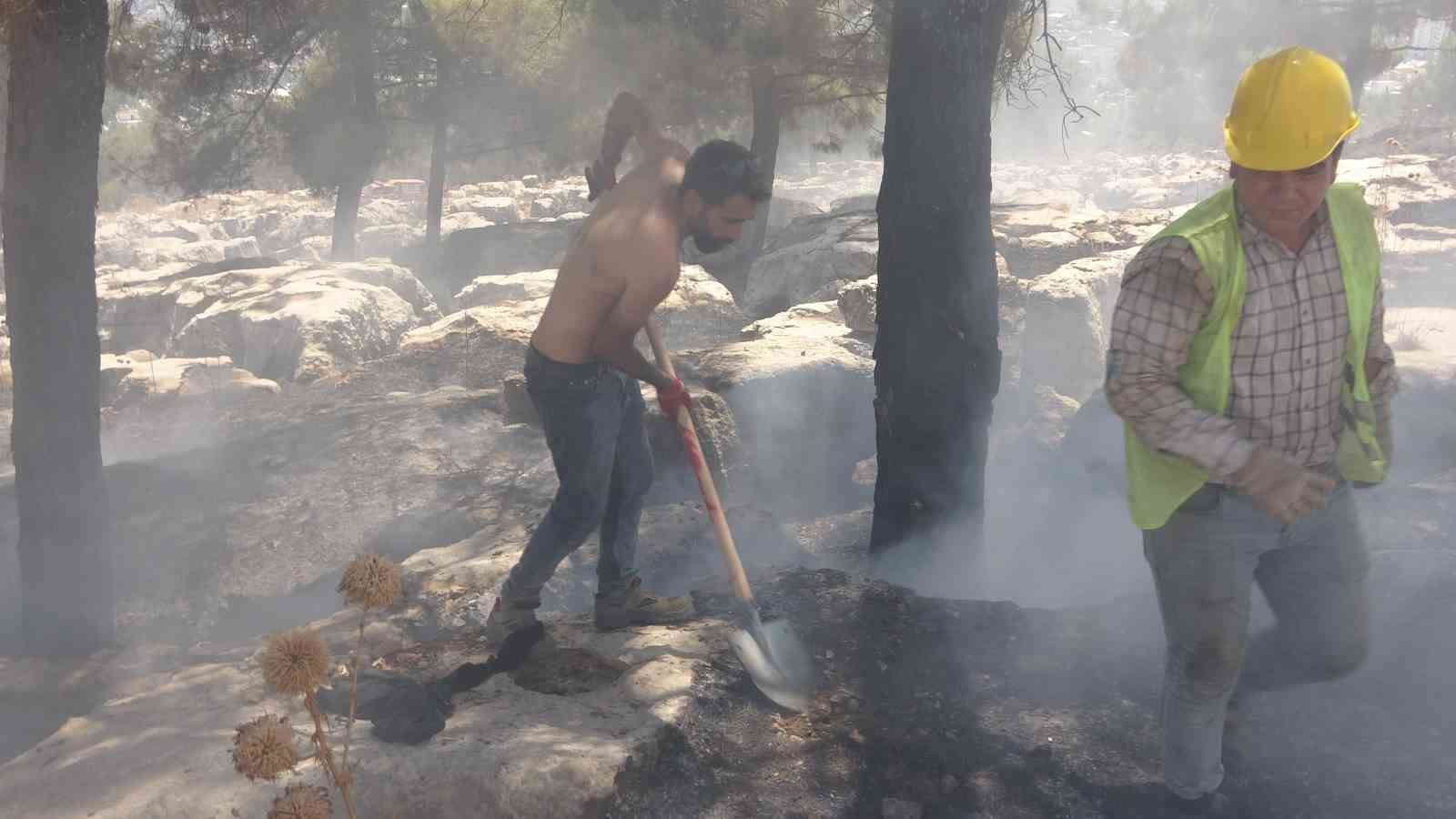 Alev alev yanan ağacı tiş&ouml;rt&uuml;yle s&ouml;nd&uuml;rd&uuml;
